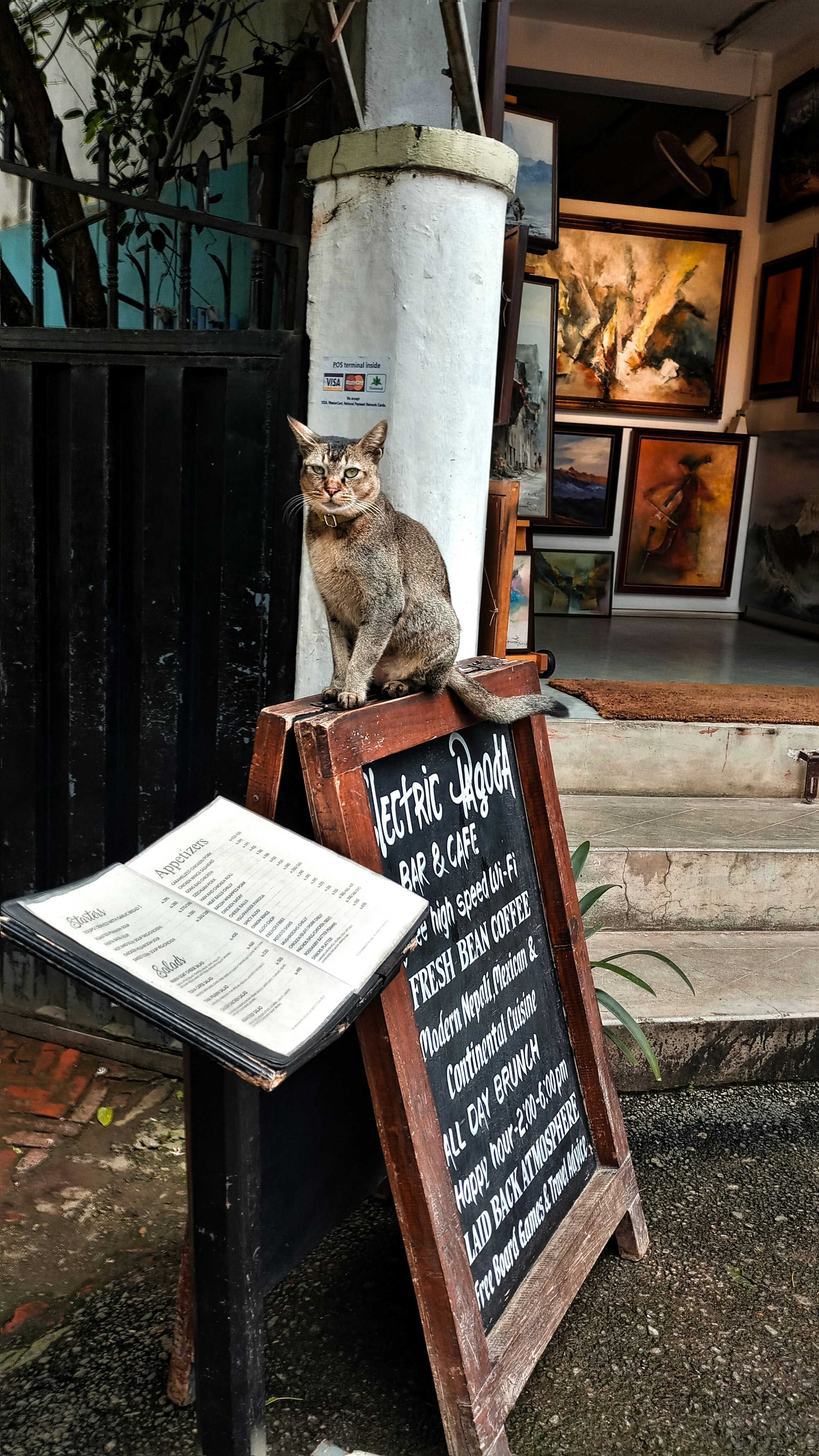 cat on a coffee sign